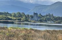1 Hour Guided Carriage Tour in Killarney National Park