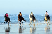  Agadir/Taghazout Horse Ride on the beach