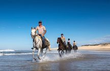 Agadir & Taghazout : Quad Bike & Horse Ride On The Beach