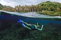 Full Day Land and Sea Tour to Nusa Penida with 4 Snorkeling Spots