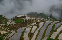 Longji Rice Terraces Hiking Day Tour 