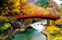 Nikko Full Day Private Tour with English-Speaking driver
