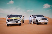 Liwa Oasis Desert Drive from Abu Dhabi