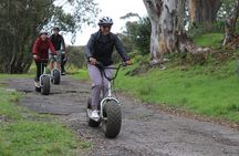 Gravity Scooter and Urban Safari on Table Mountain