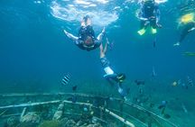 Bali Tropical Snorkeling and Mangrove Cruise