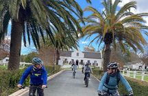 E-Bike Wine Tour Stellenbosch Countryside (Half Day)