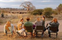 6-Day Fly-In Serengeti Great Migration Safari Tanzania