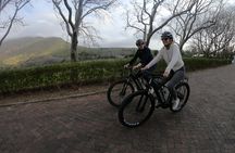 E-Bike Wine Tour Stellenbosch (Half Day)