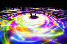 TeamLab Planets Walking Tour with Toyosu Fish Market Buffet Lunch