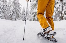 Snowshoe tour in Winter Wonderland - Oslo