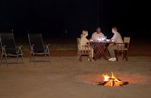 Traditional Bush Dinner Under the Stars