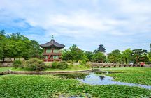 Small Group Seoul Highlight Tour opt. Hanbok & Tea Ceremony