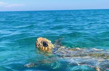 Zakynthos: Glass Bottom Turtle Boat Tour to Keri Caves & Islands