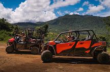 Puerto Rico El Yunque Rainforest UTV for 2 to 4 PERSON 
