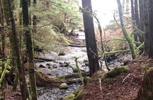 Ketchikan Exclusive Private Group Tour (Price up to 11 Passengers)