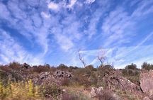 Etna tour from Taormina