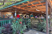 Circle Island Tour