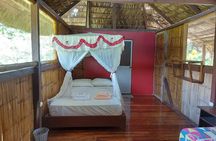 Amazon tours 3 days Yasuni Park and Limoncocha Reserve