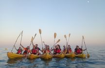 Moonlight Kayak with Dinner Included