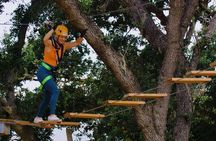 High Ropes Adventure Course near Santa Barbara