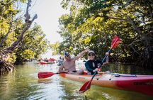 Key West Full-Day Ocean Adventure: Kayak, Snorkel, Sail