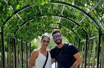 VINEYARDS, MOUNTAINS AND WINES. Choose your own tour.