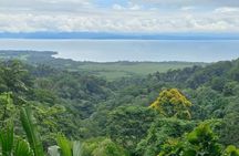 4 Hour Private Guided Tour in Osa Jungle 