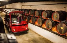 CRICOVA Winery tour with tasting from Chisinau