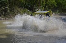 Dune Buggies Adventure
