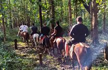 Horseback Riding in Tarcoles Garabito, a Life Experience.