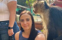 Monkey, Crocodile, Sloths & Beach Experience