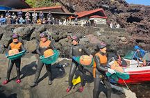 Jeju Private Day Tour- Seongsan Ilchulbong & Haenyeo performance