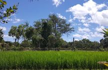 Best Private Tour Cu Chi Tunnels and Mekong Delta Full Day 