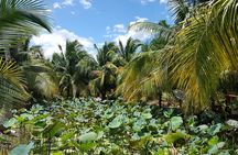 Best Private Tour Cu Chi Tunnels and Mekong Delta Full Day 