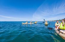 Kayak and Snorkeling Adventures in West End