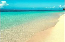 Roatan Tour with Horseback Ride Sloth Park and Glass Bottom Boat