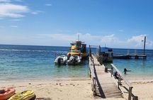 Roatan Tour with Horseback Ride Sloth Park and Glass Bottom Boat