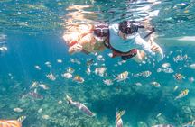 Kayak and Snorkeling Adventures in West End