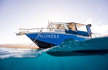 2-Tank Dive Featuring the Molokini Crater