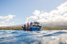 2-Tank Dive Featuring the Molokini Crater