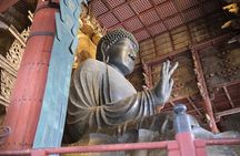 Full Day Nara E bike Tour and Osaka History Food Tour