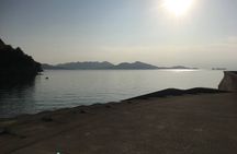 Photogenic Shimanami Kaido Private Cycling Tours ~3 routes~