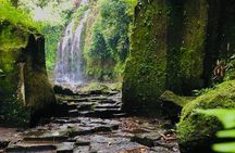 Bali Waterfalls and Temples Tour
