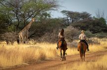 Exhilarating Horseback Safari from Johannesburg