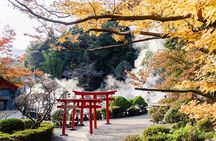 Beppu Private Customizable Full Day Tour