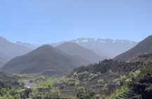 De Marrakech: Visite des montagnes de l'Atlas avec un guide