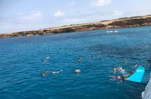 CRYSTAL WATERS SEA EXPERIENCE, from Platja d'en Bossa