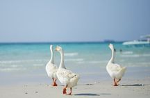 From Bangkok : Pattaya Island Trip with Drone Photos by Speedboat