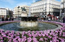 Highlights of Madrid Private Walking Tour