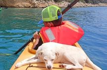 From Athens Day Trip Sea Kayak & Snorkeling Epidaurus Sunken City